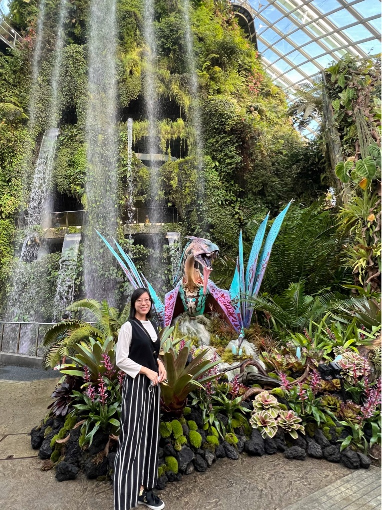 Review Gardens by the Bay Avatar The Experience #40 Review Gardens by the Bay Avatar The Experience